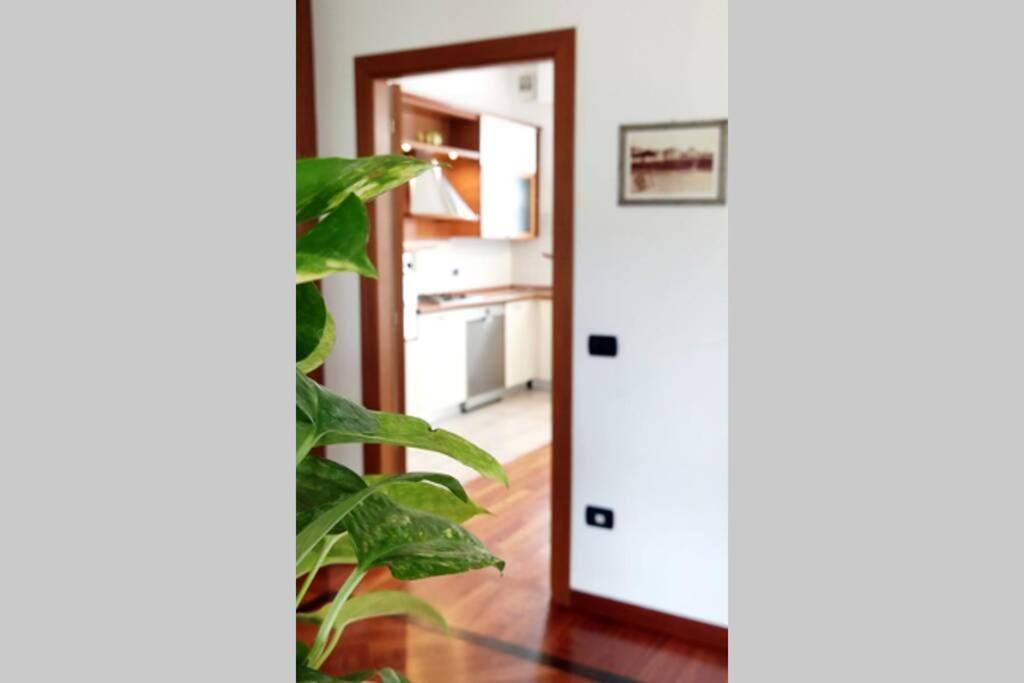 Castelfranco di Sotto Diamante: Appartamento Nel Cuore Della Toscana מראה חיצוני תמונה